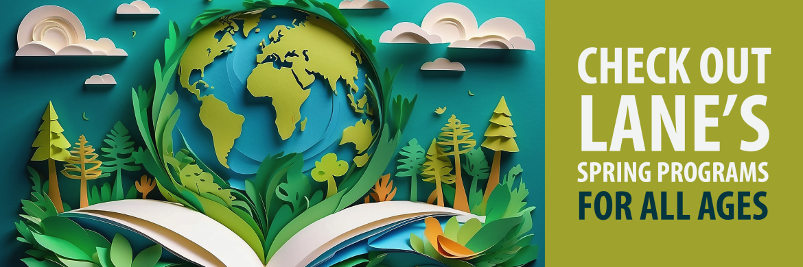 Spring Fast Lane Slide